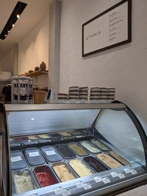 Quite a variety of vegan ice cream at Hvala - Chinatown in Central Singapore