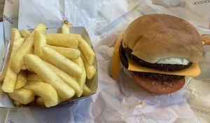 Vegan burger and fries   at Hood Burger in Ljubljana