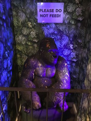 Interior  at Seven Sundays in Hannover