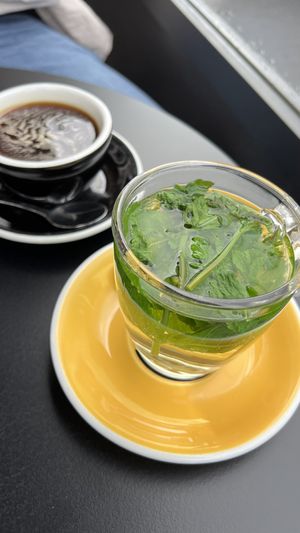   at Seven Sundays in Hannover