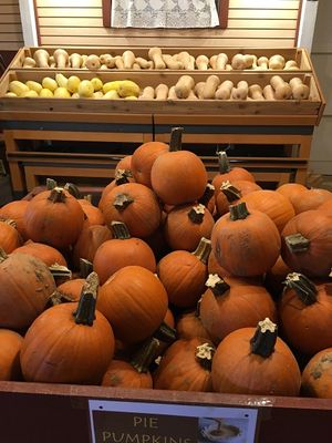 Pumpkin at Beckwith Orchards Cider Mill in Kent
