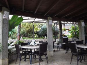 view at Ylang Ylang Beach Resort Restaurant in Montezuma