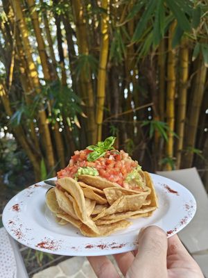 Vegan Latino Nachos at Ylang Ylang Beach Resort Restaurant in Montezuma