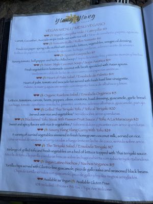 Fantastic vegan page of the menu!  at Ylang Ylang Beach Resort Restaurant in Montezuma