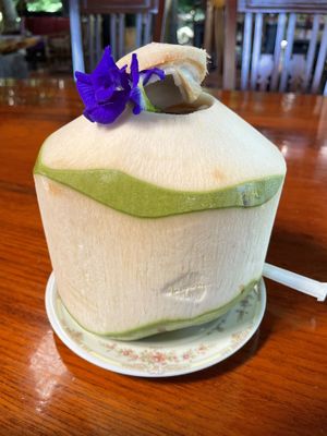 Fresh coconut, 80 baht  at Shann Cafe  in Chiang Rai