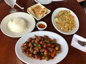 Kung pao (mild), pot stickers, and Gourmet stir fry   at Vegan Kitchen in Naples