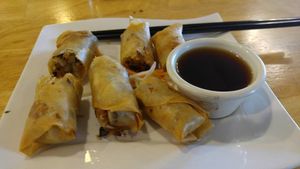Spring rolls at Vegan Kitchen in Naples