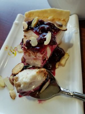 blueberry cheesecake! at Vegan Kitchen in Naples