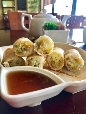 Crispy Golden Rolls at Vegan Kitchen in Naples