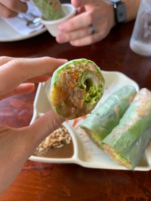 Spring Rolls w Peanut Sauce at Vegan Kitchen in Naples