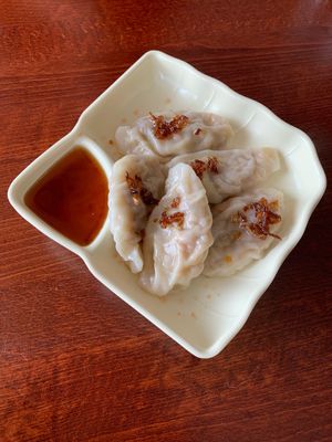 Dumplings  😋 at Vegan Kitchen in Naples