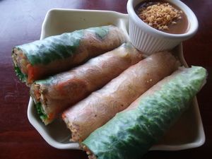 Spring rolls as an appetizer at Vegan Kitchen in Naples