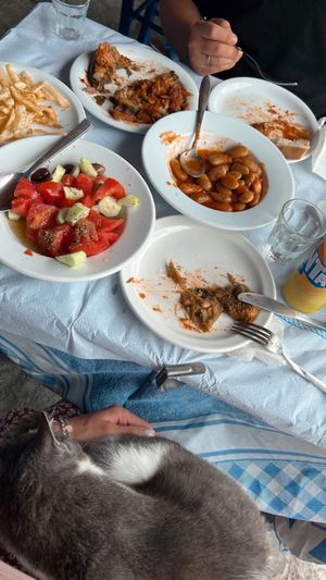   at Taverna Michel - Margaret in Leonidio