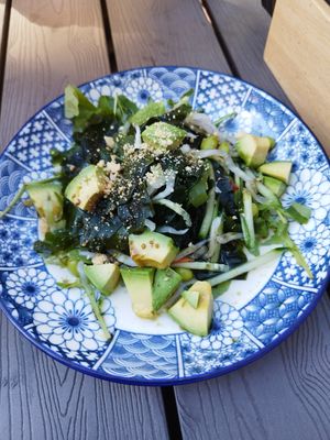 Wakame at Kaoo in Vienna