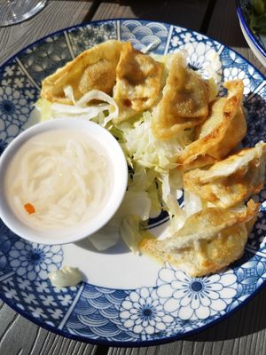 Dumplings at Kaoo in Vienna