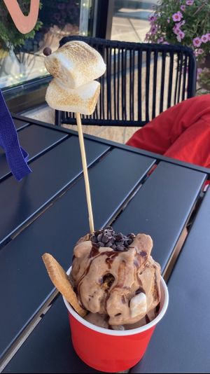 Vegan s’mores at iFreeze Creamery - 15 Mile in Royal Oak