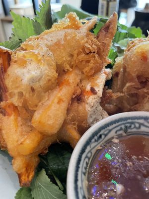   at Well Being in Cologne