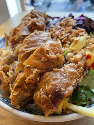   at Well Being in Cologne