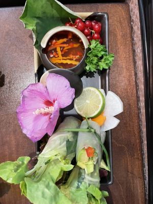   at Well Being in Cologne