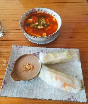 Sour hot	soup & summer rolls (served with peanut and coconut sauce) at Well Being in Cologne