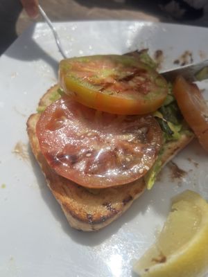   at Tea Gardens Boatshed in Tea Gardens