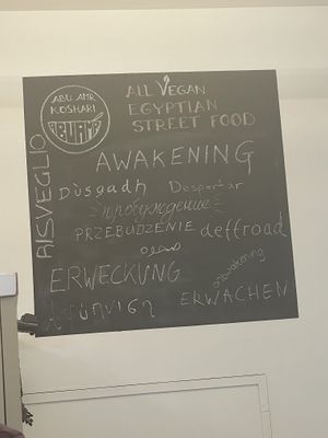   at Abu Amr in Hilversum