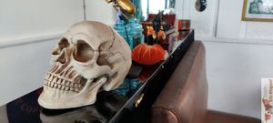 Déco at Café Contresort in Paris