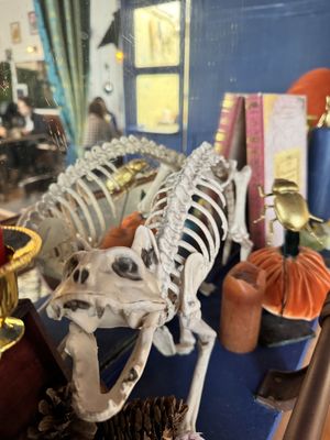   at Café Contresort in Paris