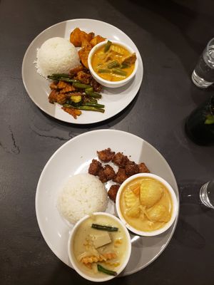 Dinner Special: 3 options + rice at Blossoming Lotus in Surfers Paradise