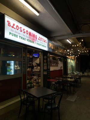   at Blossoming Lotus in Surfers Paradise