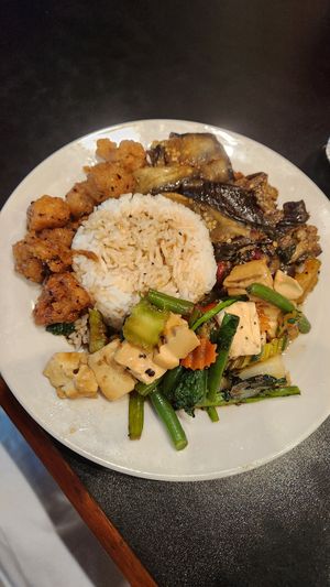 Crispy chicken, (spicy) eggplant and black pepper tofu for $14. at Blossoming Lotus in Surfers Paradise