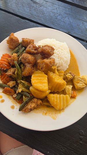 Lunch special at Blossoming Lotus in Surfers Paradise