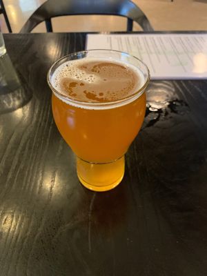 Mountain Thunder IPA at Conflux Taphouse in Missoula