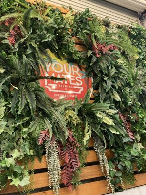 Your Mates at Your Mates Brewing Co in Warana