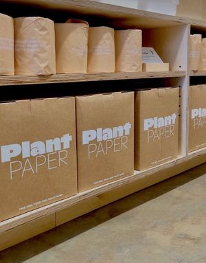 Plant Paper at re_ in Los Angeles