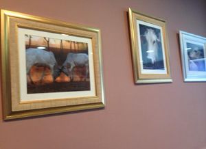 lots of happy cowness in this place at GoKula Vegetarian Cafe in Watford