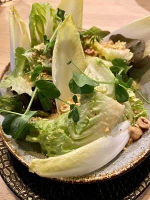 Chicory and little gem  at Het Hooihuis in Roosendaal