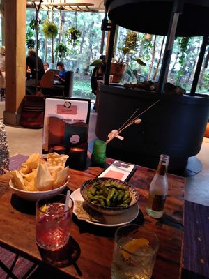 Drinks and vegan appetizers (papadum with hummus and edamame beans) at Het Hooihuis in Roosendaal