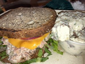 Tuna melt with Jack fruit & side of potato salad   at Planted Plate in Princeton