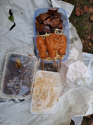 Vegan saté,vegan babi pangang,en bami zonder groenten? at Mandarin in Amersfoort