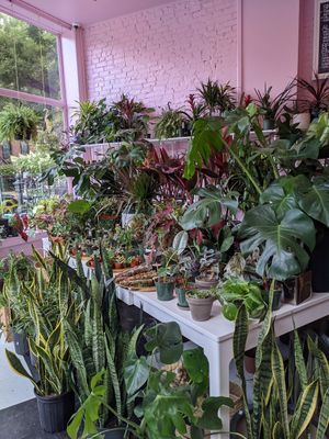 The vibe in this place at Guevara's in Brooklyn