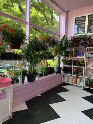   at Guevara's in Brooklyn