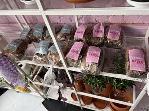 Vegan babka!?  at Guevara's in Brooklyn