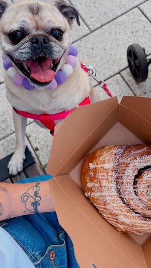   at Guevara's in Brooklyn