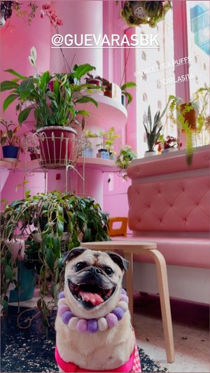   at Guevara's in Brooklyn