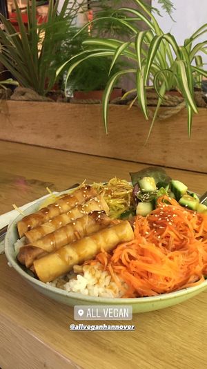  at All Vegan in Hannover