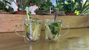   at All Vegan in Hannover