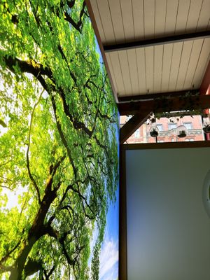  #Veganuary at All Vegan in Hannover