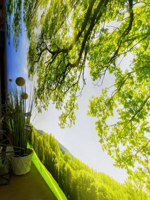  #Veganuary at All Vegan in Hannover