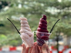 Sugar-free Gelato prepared with all natural ingredients. Photo by Camaca at Camaca in Central Singapore